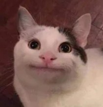 Boim